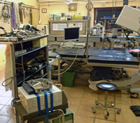 Pferdeklinik