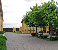 Pferdeklinik Langenau, Alb-Donau, Baden-Württemberg