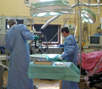 Pferdeklinik. Pferdeklinik am Ried
